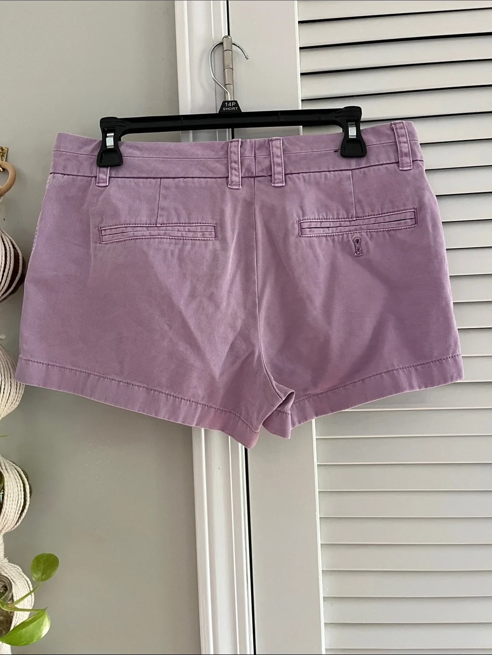 J. Crew Lilac Chino Shorts